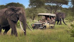 Private Safari Tours